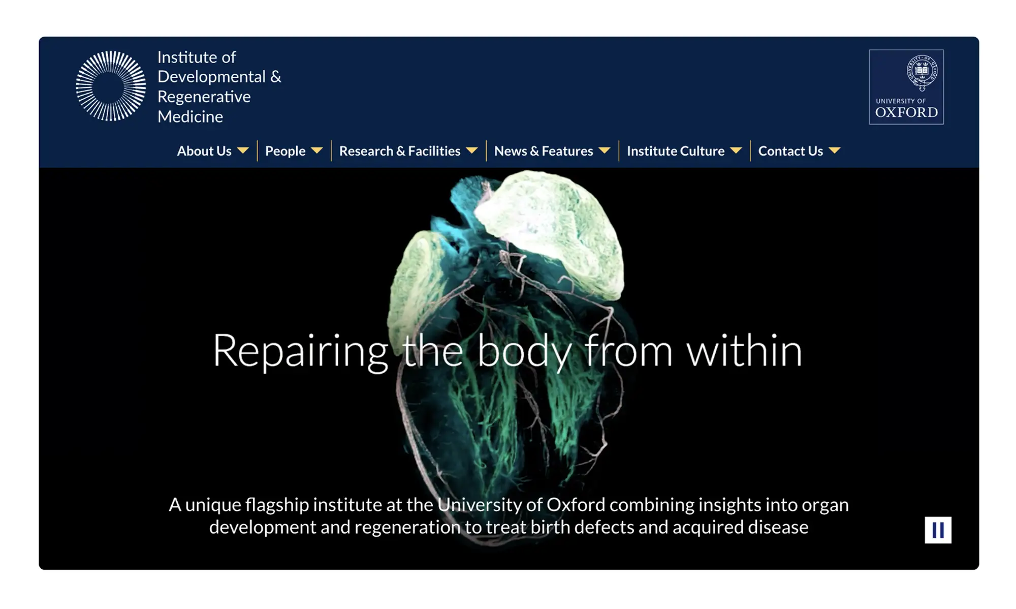 IDRM website home page
