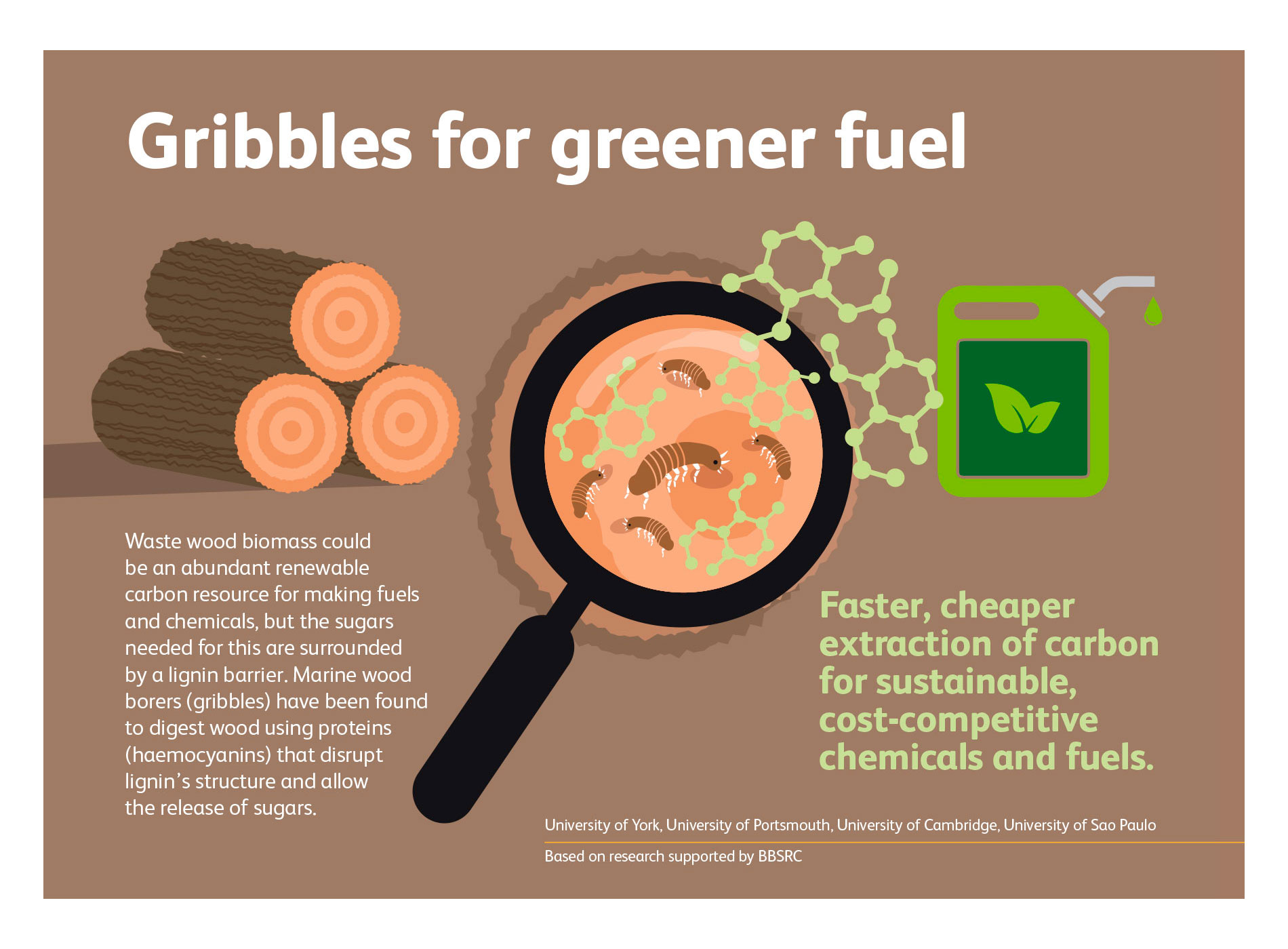 BBSRC & UKRI - Industrial Bioscience - Creating Bio-Fuel From Wood using Gribbles