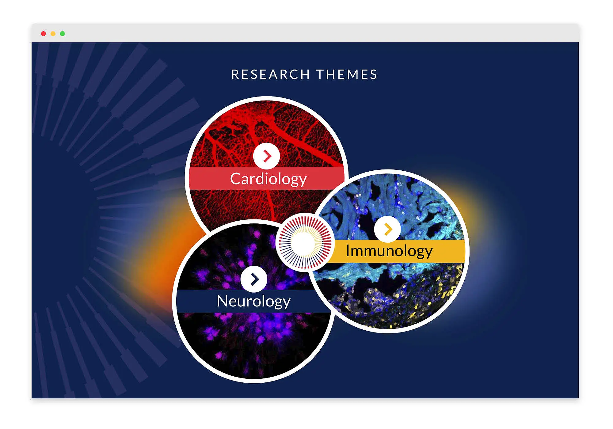 IDRM website home page - research departments